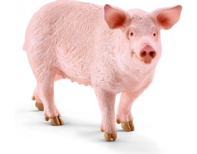 Schleich Prasa domáce bachyňa