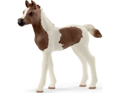 Schleich Žriebä Pintabianské