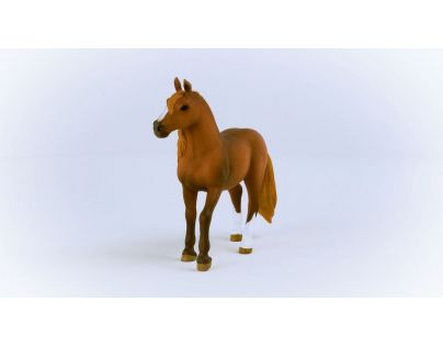 Schleich Zvieratko Kobyla plemena Peruánsky paso