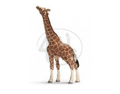 Schleich 14389 - Zvířátko - samec žirafy pasoucí se