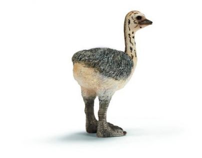 Schleich 14398 pštrosí mládě