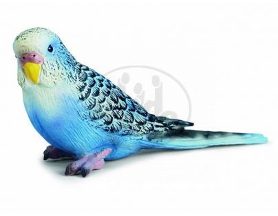 Schleich 14409 - Zvířátko - andulka modrá
