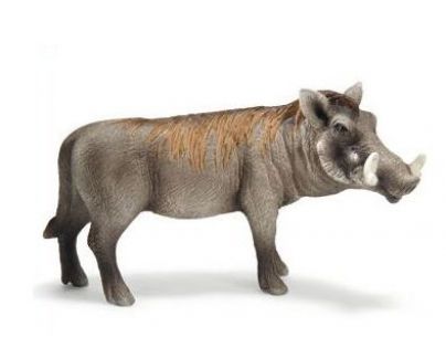 Schleich 14611 - Zvířátko - prase bradavičnaté - kanec