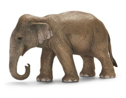 Schleich Samice slona asijského