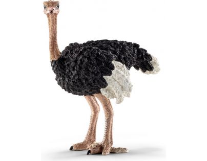 Schleich pštros