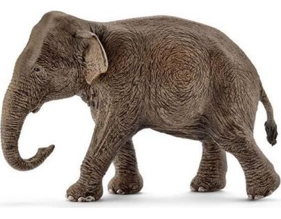 Schleich Ázijský slon samica
