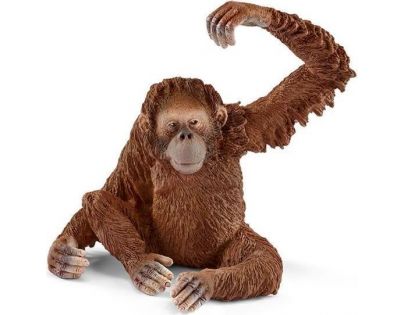 Schleich Orangutan samica