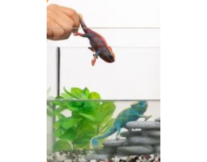 Schleich Zvieratko Chameleon