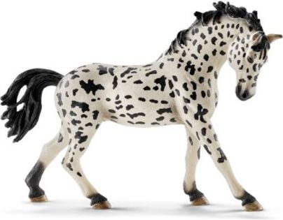 Schleich 41434 Knabstrupperská klisna s jezdkyní a turnajovým příslušenstvím