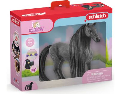 Schleich Kobyla plemena Criollo Definitivo s česacou hrivou
