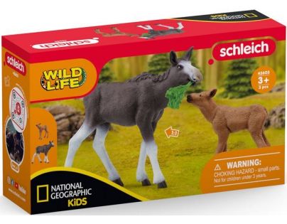 Schleich Žreb s mláďaťom