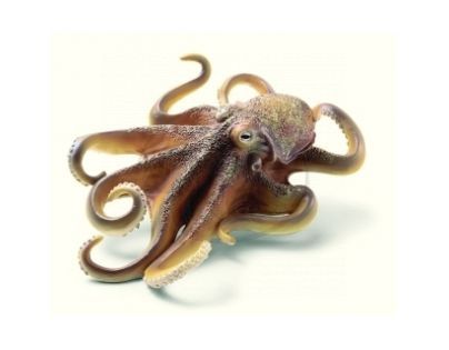 Schleich 16085 - Zvířátko - chobotnice velká
