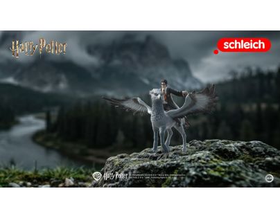 Schleich Harry Potter - Harry Potter na Klofanovi