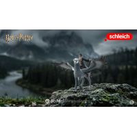 Schleich Harry Potter - Harry Potter na Klofanovi 3