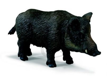 Schleich Prase Divoké - Divočák