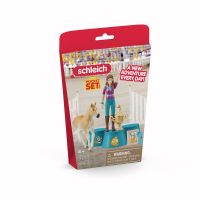 Schleich Odovzdávanie cien po turnaji 3