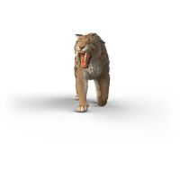 Schleich Prehistorické zvieratko - Šabľozubý tiger 3