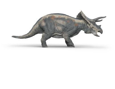 Schleich Prehistorické zvieratko - Triceratops