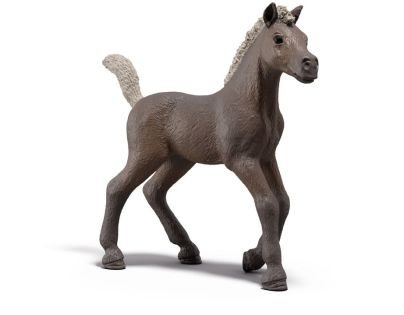 Schleich Zberateľské žriebä Darcy