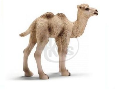 Schleich 14602 - Zvířátko - velbloud dvouhrbý, mládě