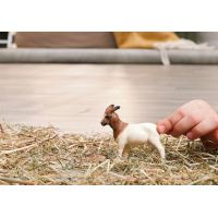 Schleich Zvieratko - burská koza 2