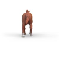 Schleich Zvieratko - žrebec anglického plnokrvníka 4