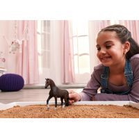 Schleich Zvieratko - valach KWPN 6