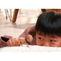 Schleich Zvieratko - lev africký 5