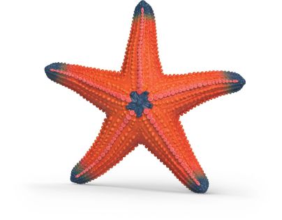 Schleich Zvieratko - morská hviezdica, meniaca farby