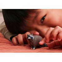 Schleich Zvieratko - mýval 5