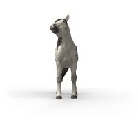 Schleich Zvieratko - valach knabstruperského koňa 3