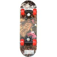 Skateboard AFRIKA 43 cm 2