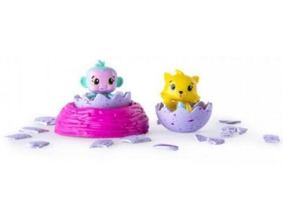 Spin Master Hatchimals zberateľské zvieratká vo vajíčku dvojbalenie S1