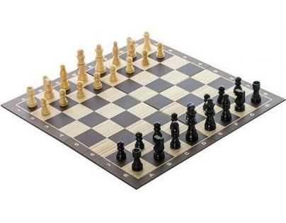 Spin Master Klasické dřevěné šachy