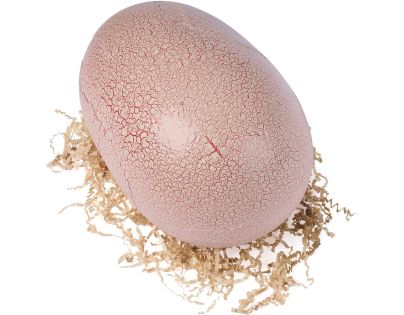 Spin Master Primal Hatch dino interaktívny T-Rex liahnuť sa z vajíčka sivý