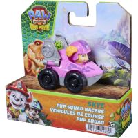 Spin Master Tlapková patrola Malé dinosaurie vozidlá 6