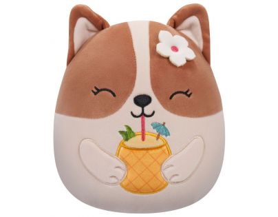 Squishmallows Corgi s drinkom Regina 20 cm