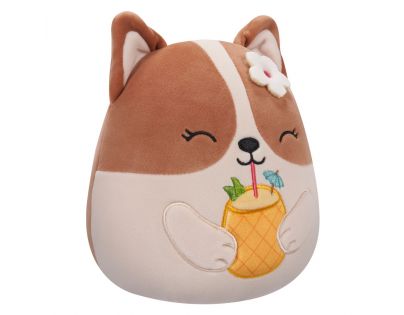 Squishmallows Corgi s drinkom Regina 20 cm