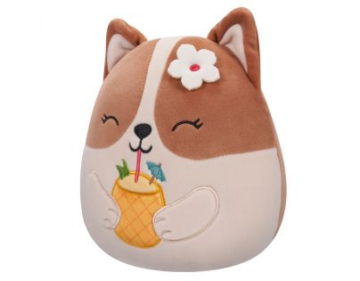 Squishmallows Corgi s drinkom Regina 20 cm