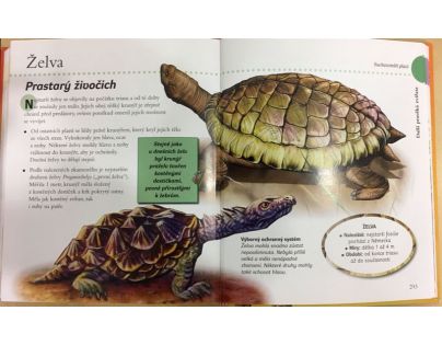 Dinosaury a fascinujúci praveký svet
