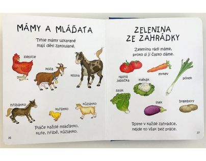 Obr ázkový lexikon Na statku