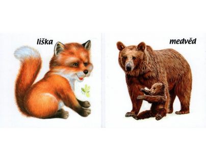 Sun Poďte s nami za zvieratkami do lesa