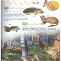 Sun Velká encyklopedie Zvířata v otázkách a odpovědích CZ verzia 2
