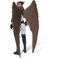 Superman film figúrky 30 cm Hawkgirl 2