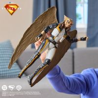 Superman film figúrky 30 cm Hawkgirl 5