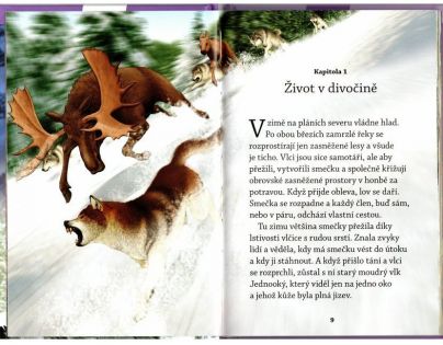 Sun Světová četba pro školáky Bílý tesák CZ verzia