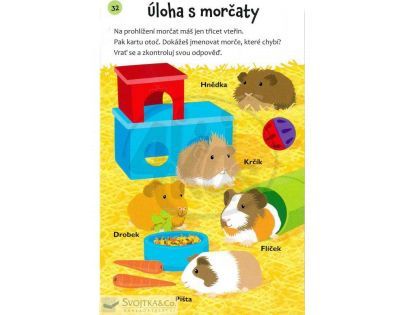 Svojtka Hádanky - procvič si paměť