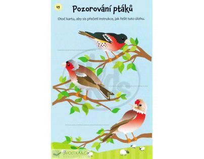Svojtka Hádanky - procvič si paměť