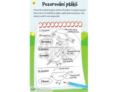 Svojtka Hádanky - procvič si paměť