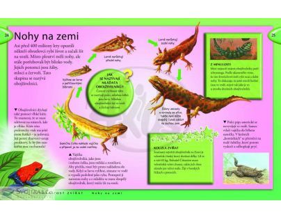 Svojtka Vše co byste měli vědět o zvířatech